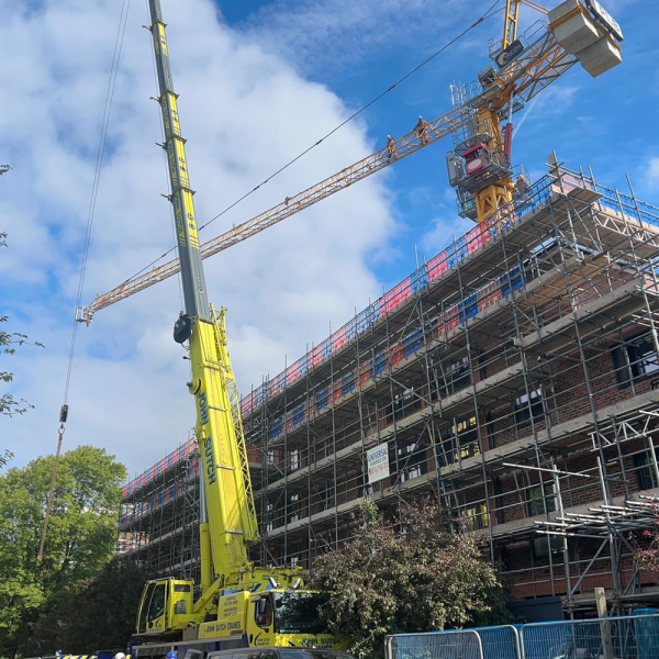 lime tree court gallery 03